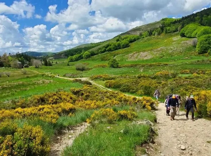 DialOnce's CSR commitment, combining physical activity and support for social causes.